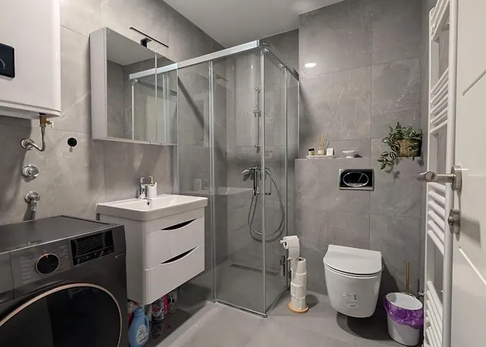 The Gracanica View *