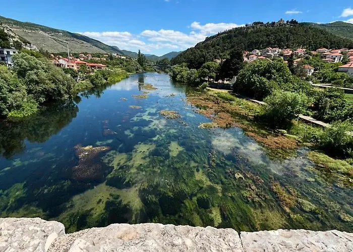 Apartman The Gracanica View