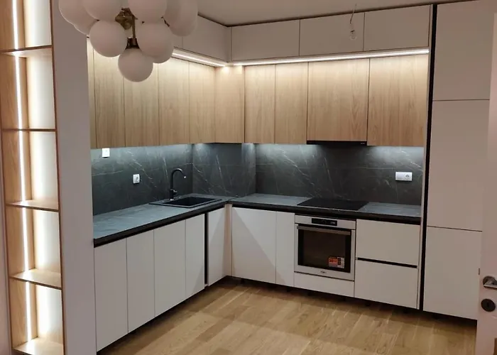 Apartman The Gracanica View *